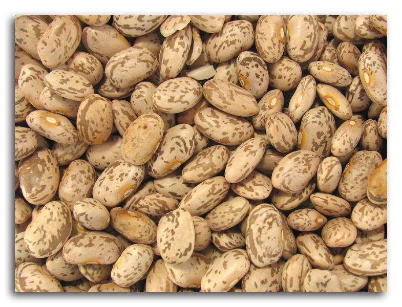 Buy Bulk Pinto Beans - 25 lbs. | Health Foods Stores | Organic Food ...