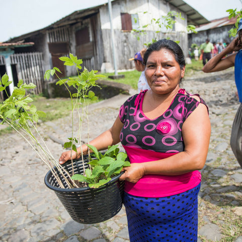Proyecto de replantación, mujeres ayudando 