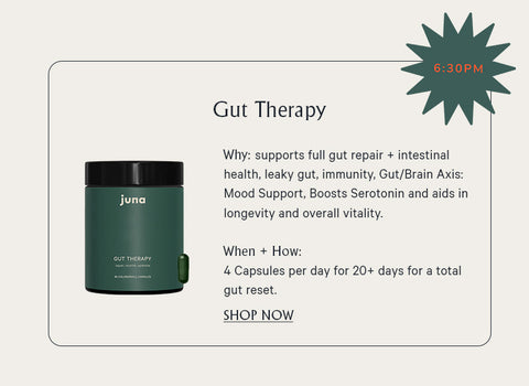 Gut therapy