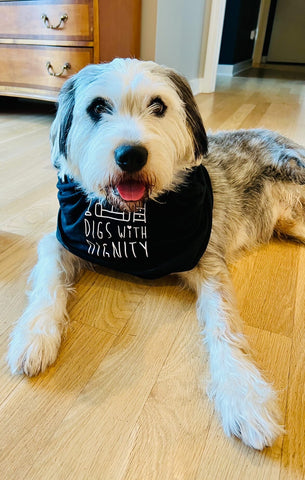 White and gray dog sitting on ground and wearing Digs With Dignity black t-shirt