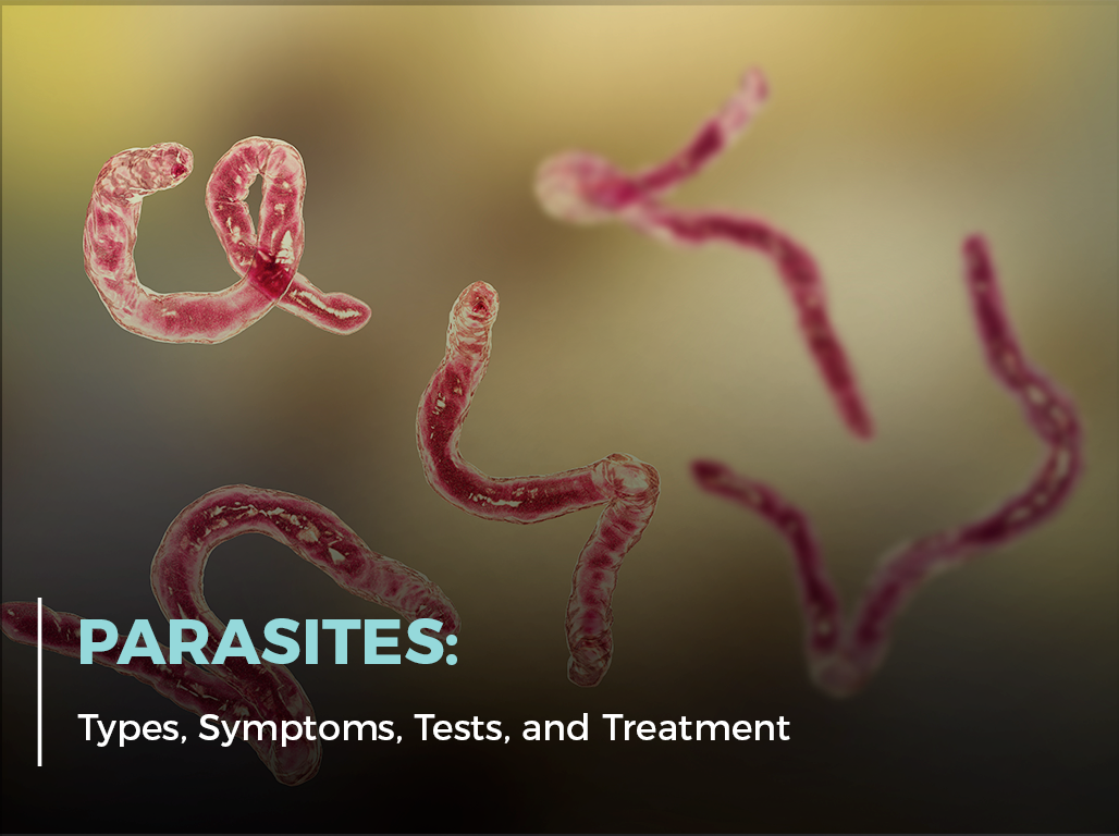 Parasites: Types, Symptoms, Tests, and Treatment