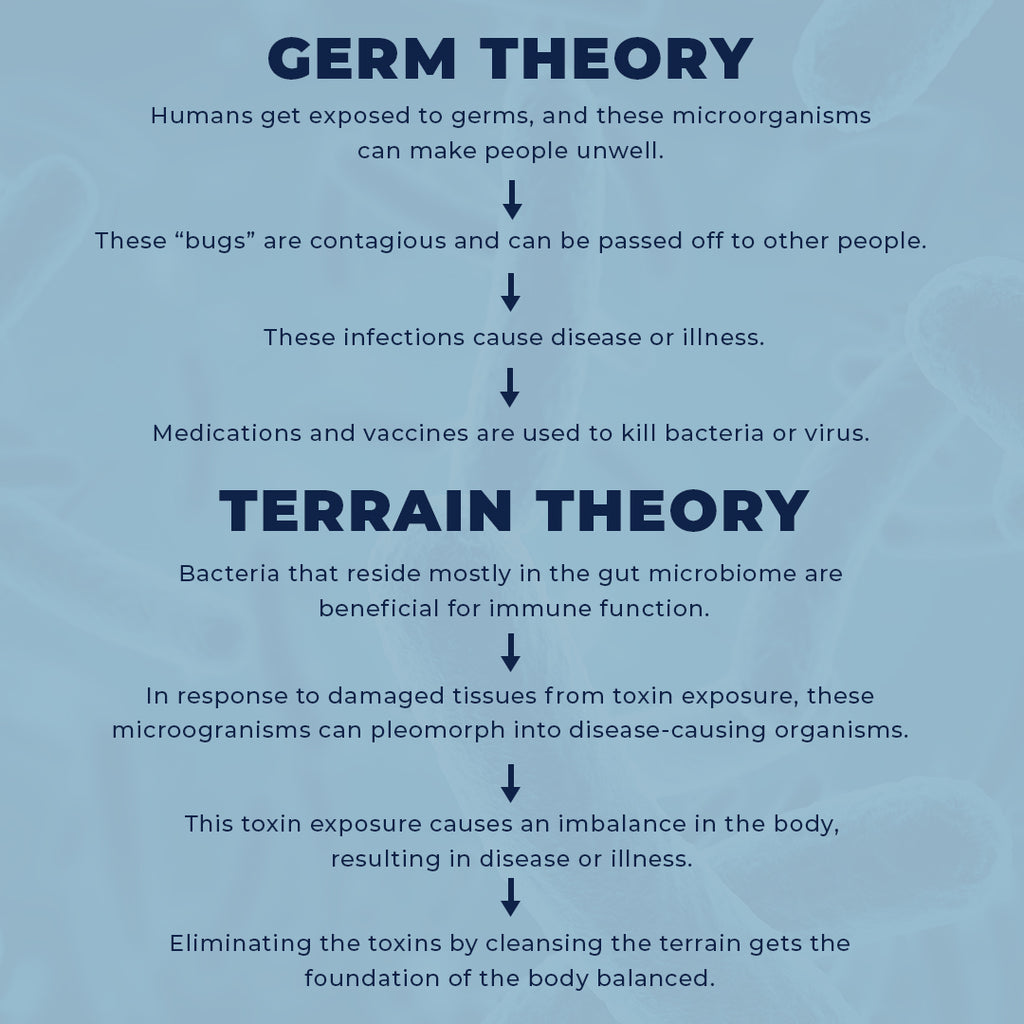 germ vs. terrain (square)