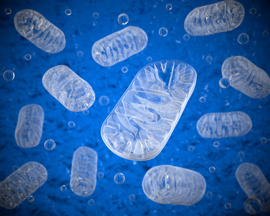 Mitochondria in water