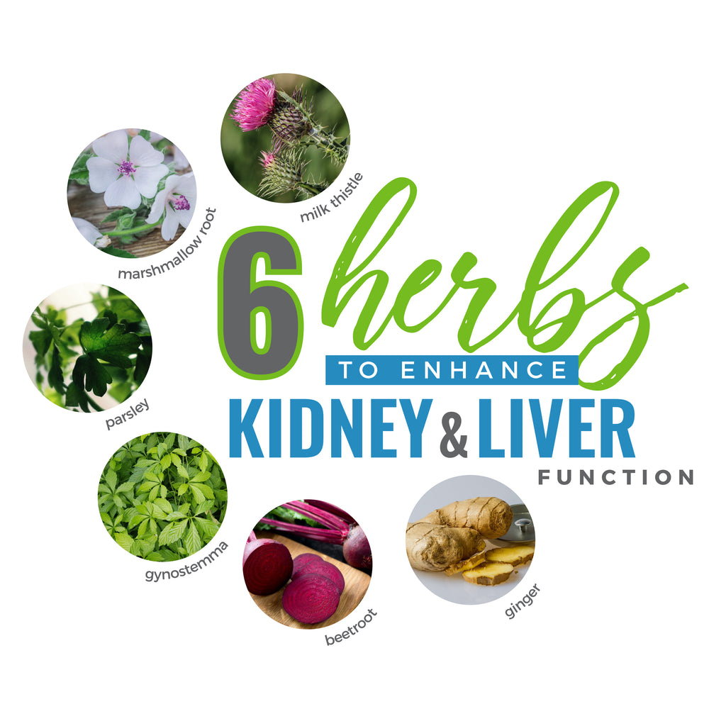 6 herbs to improve kidney and liver function