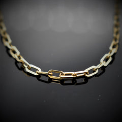 Paper Clip Chain Gold Necklace