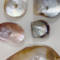 different pearl types colors sizes shapes mollusk oyster akoya south sea
