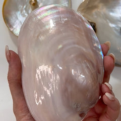 pearl shell pink