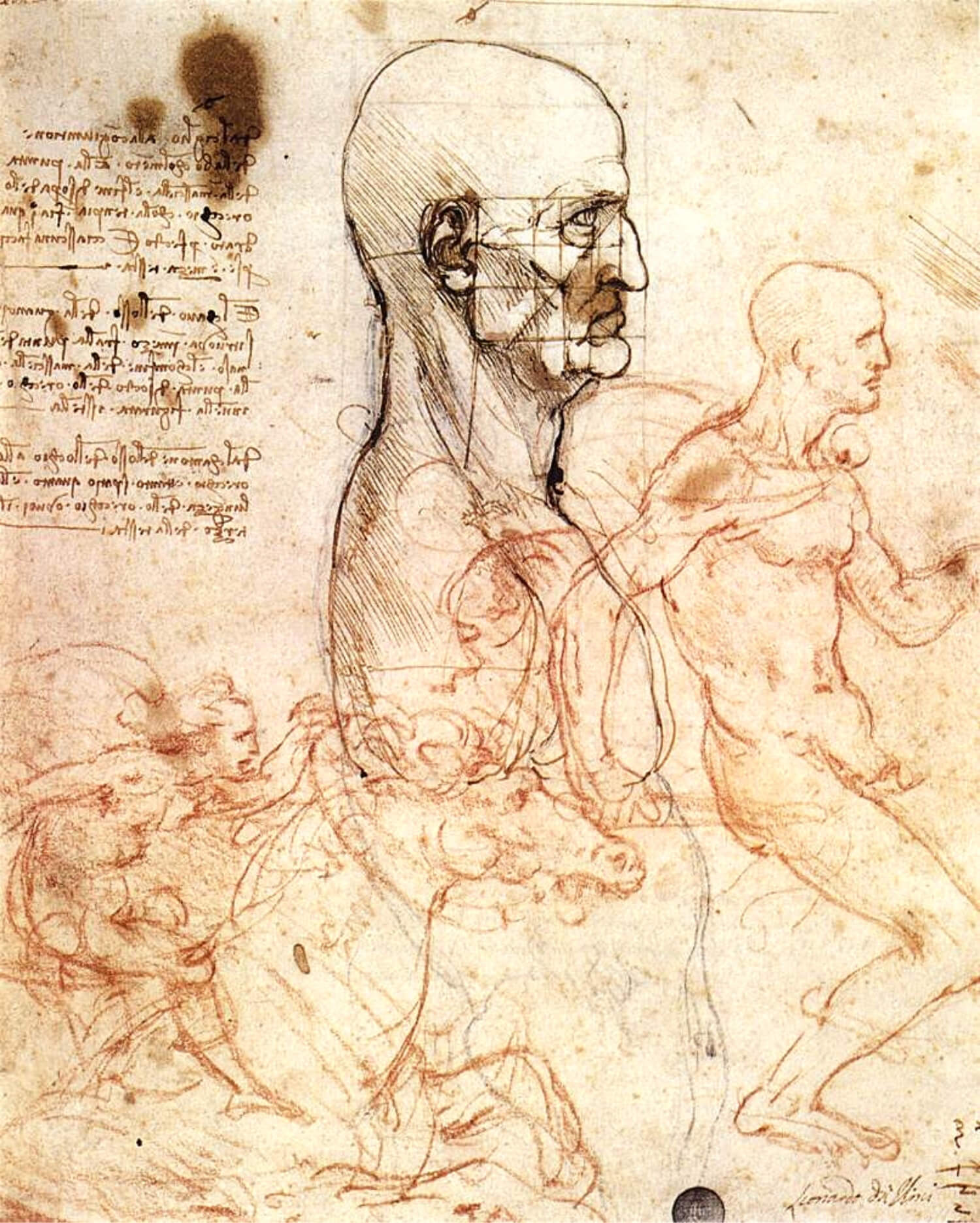 Leonardo Da Vinci: Famous Portraits and Curious Facts About the Life o –  ZenARTSupplies