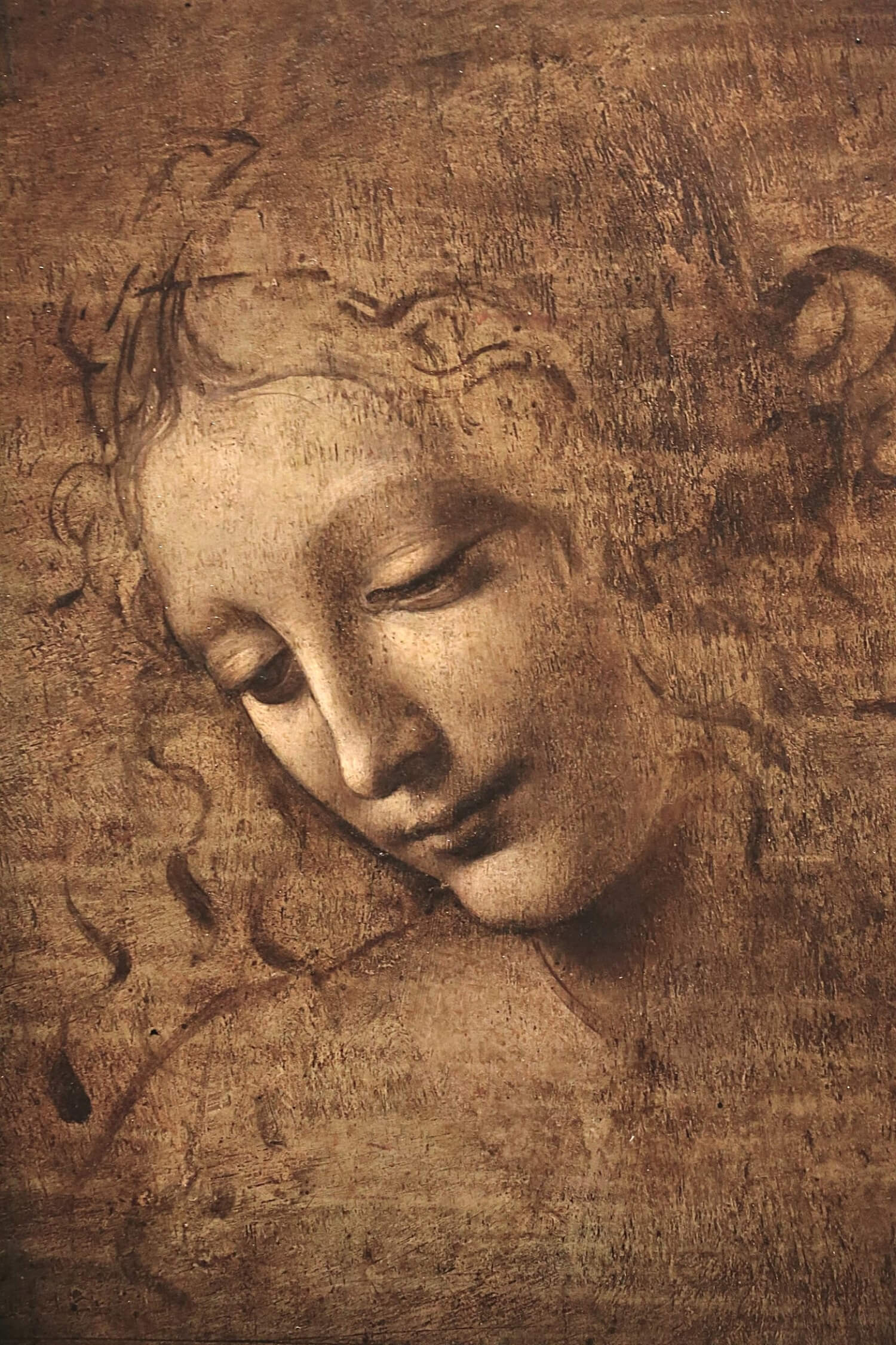Da Vinci La Scapigliata Famous Portraits ZenART