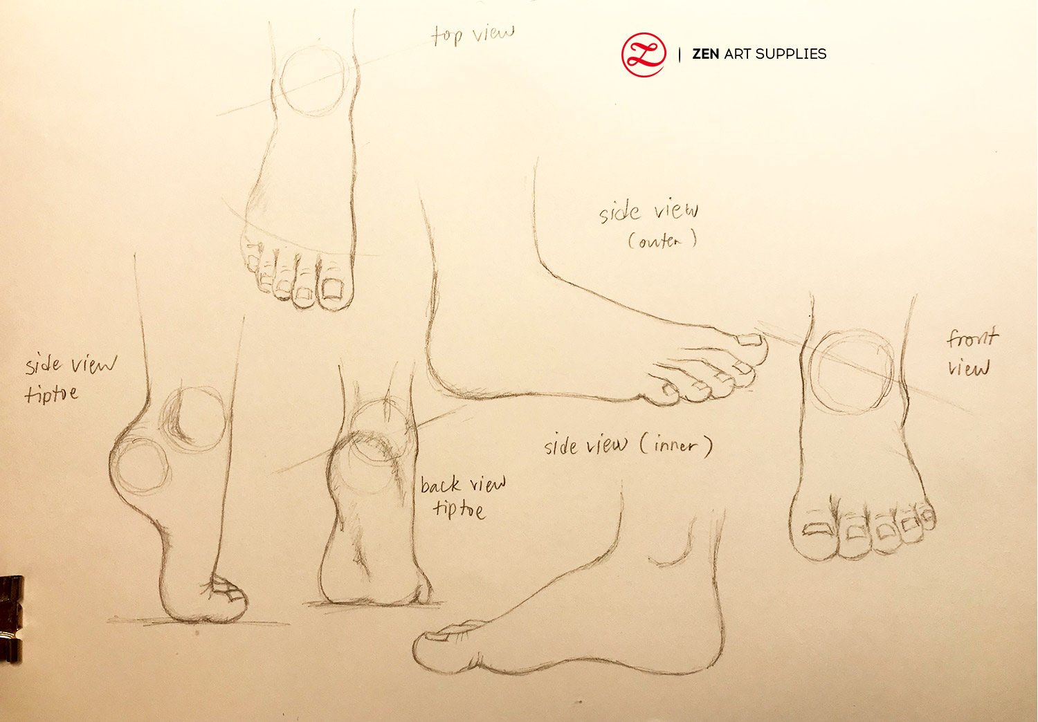 feet drawing reference