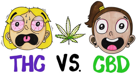 thc vs cbd oil