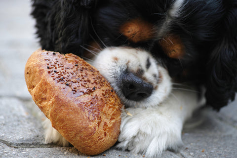 god eating bread