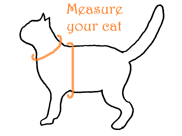Measuring instructions for cat harnesses