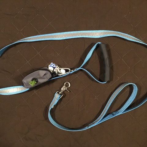 leash with all the upgrades