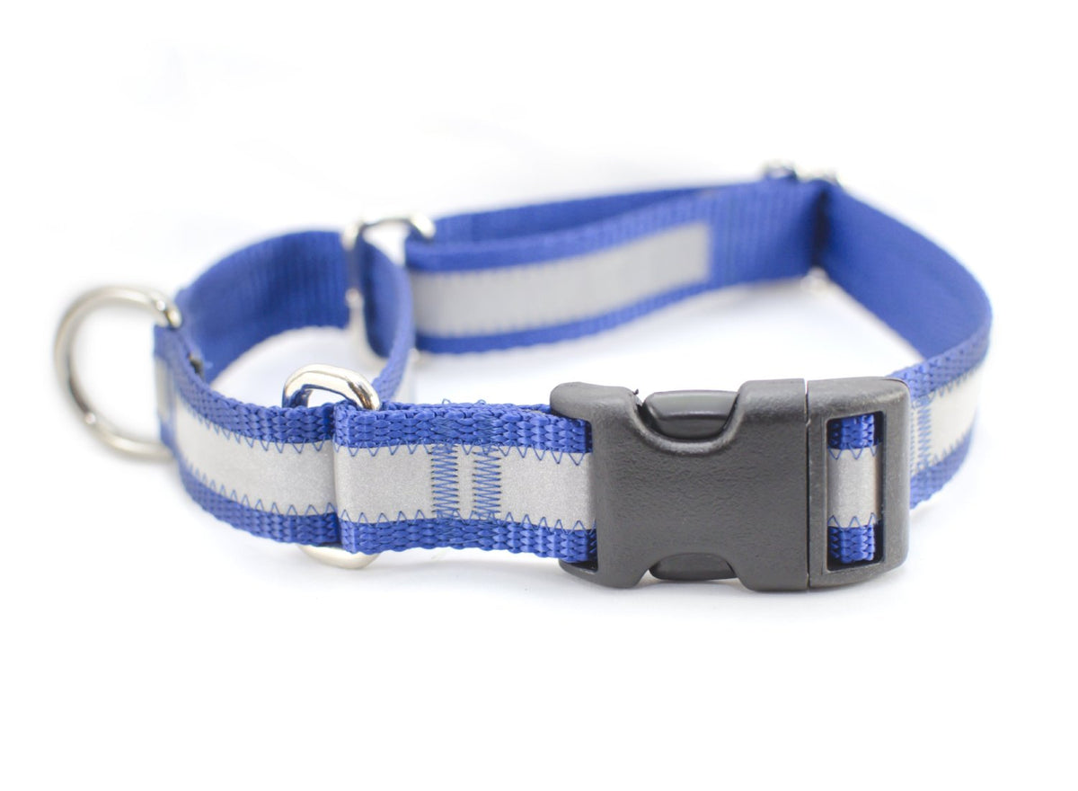 breakaway dog collar petsmart