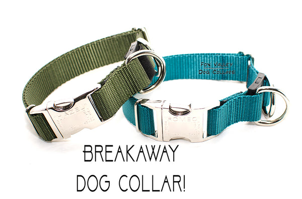 padded breakaway dog collar