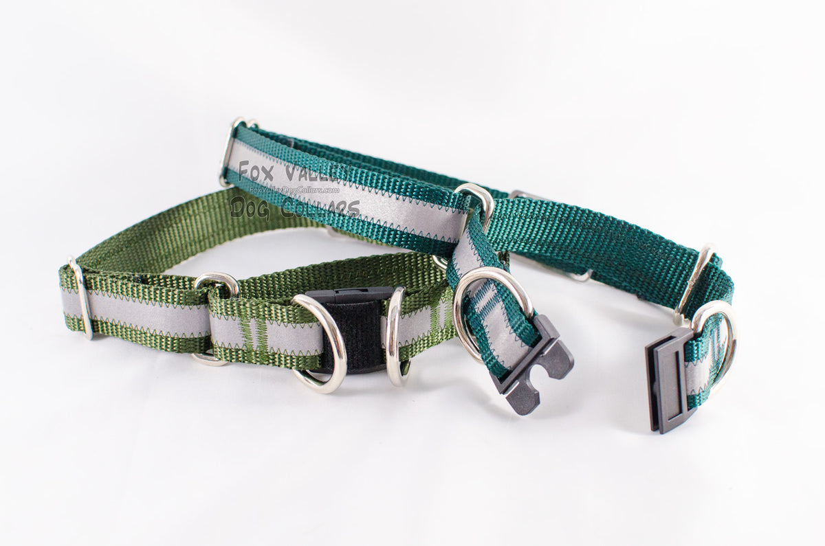 cute breakaway dog collar