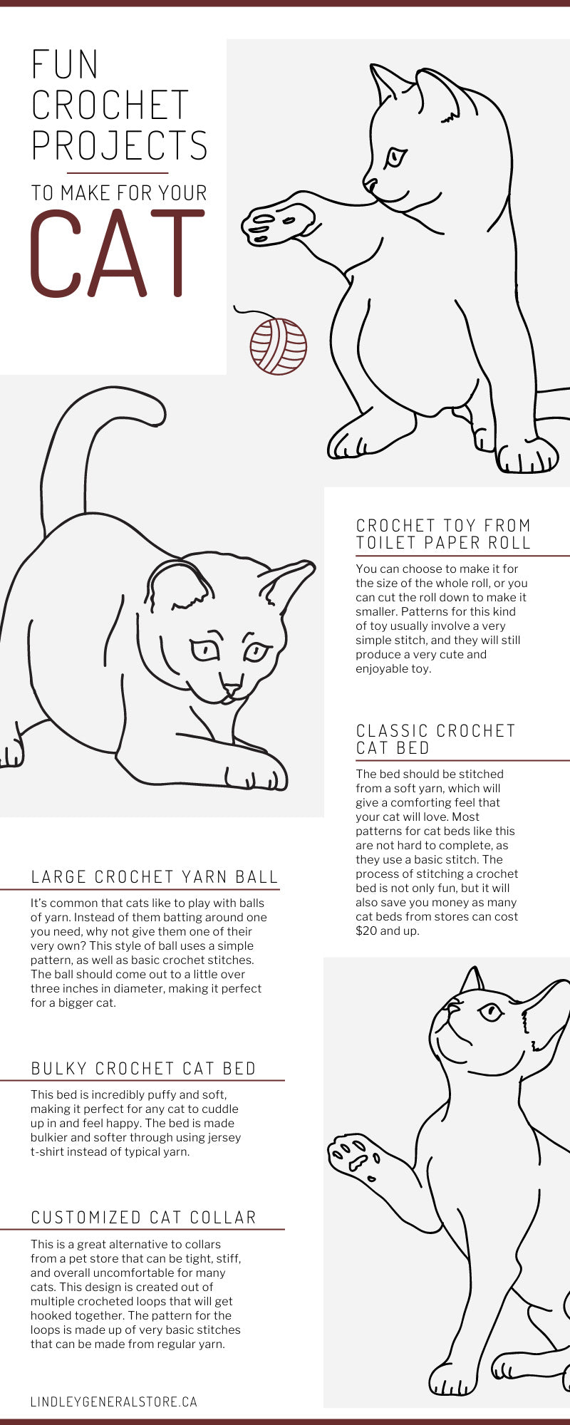 Projects To Make for Your Cat