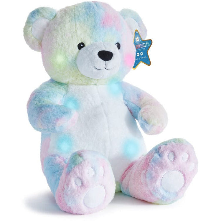 FAO Schwarz Varsity Bear – TOYCYCLE