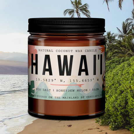 https://cdn.shopify.com/s/files/1/2285/1207/products/hawaii-scented-candle-gift-box-4-candles-240h-burn-time-762461.jpg?v=1667258283&width=460