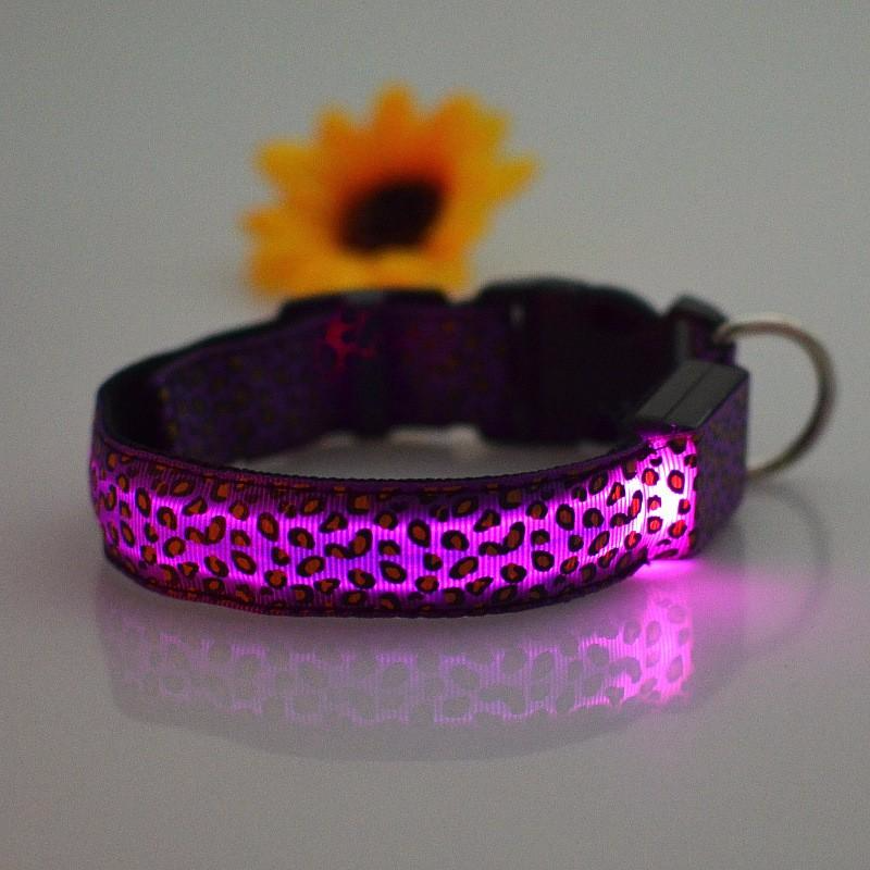 purple led dog collar