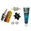 Outboard Engine Service Kit for 4HP 4-Stroke 4M for Mercury Mariner Outboard