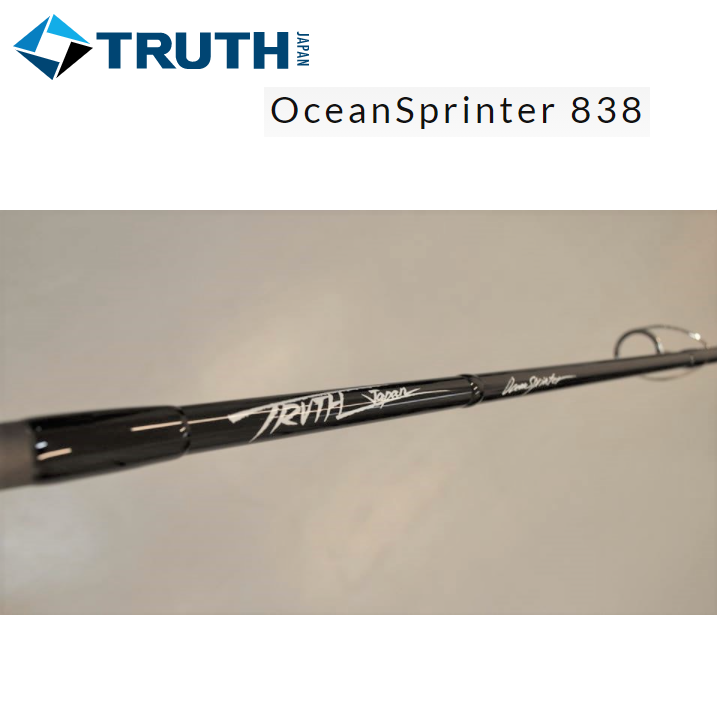 TRUTH JAPAN Seabass Spinning Rod Black Addiction 1011