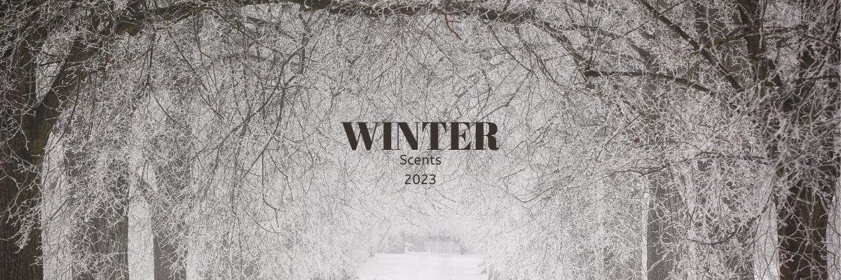 winter wonderland discover the best perfumes to suit your style and mood in 2023