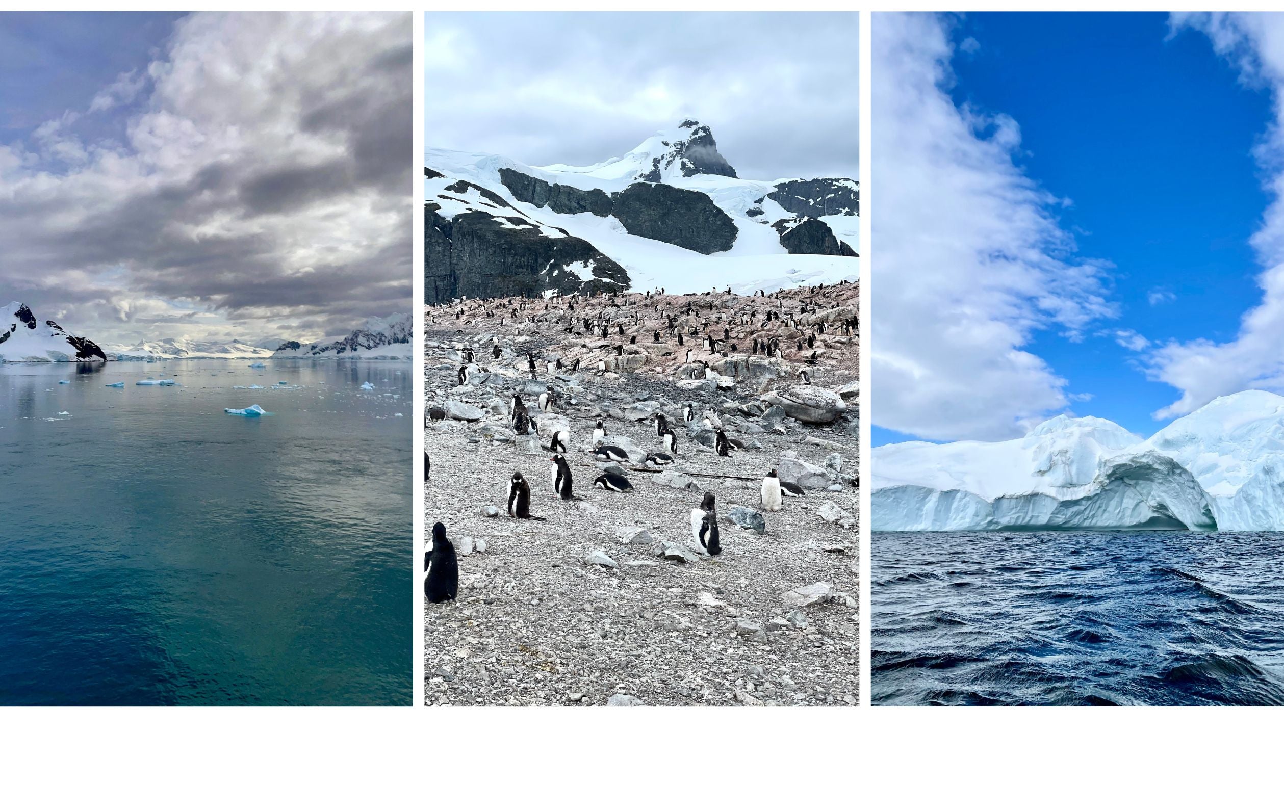 Images of Antarctica scenery with penguins and icebergs