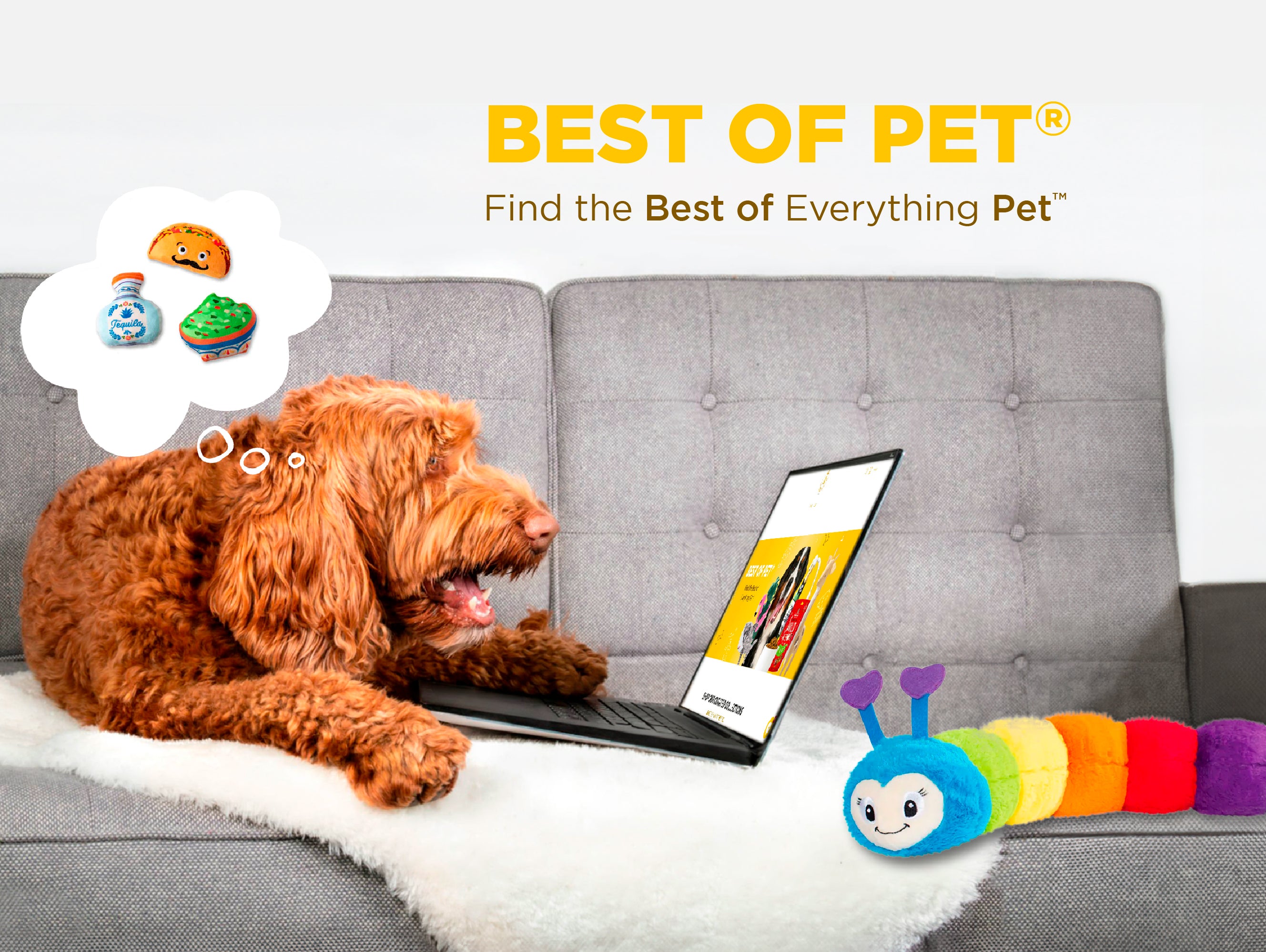 HomePage-Banner_Mobile_PlushToys_DogCouchLaptop.jpg__PID:6849f8c1-18ce-4f07-bd90-9c2171407aba