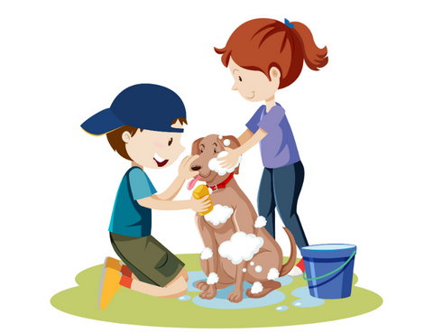 bathing the dog