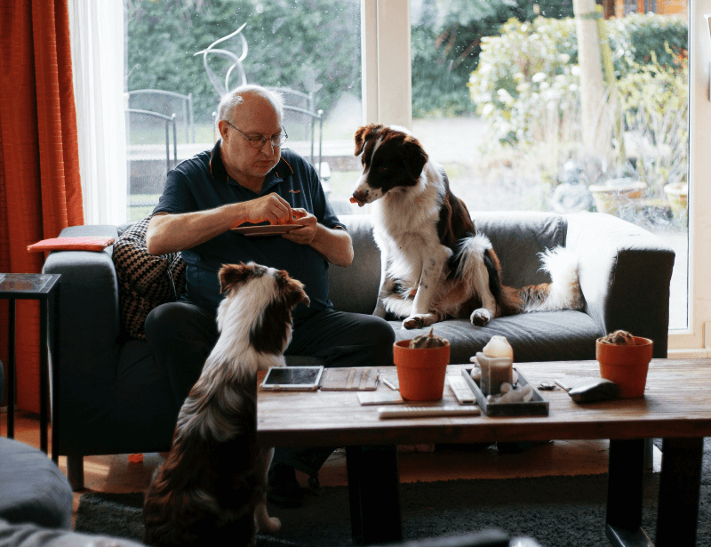 leftovers from lunch as a treat for the dog