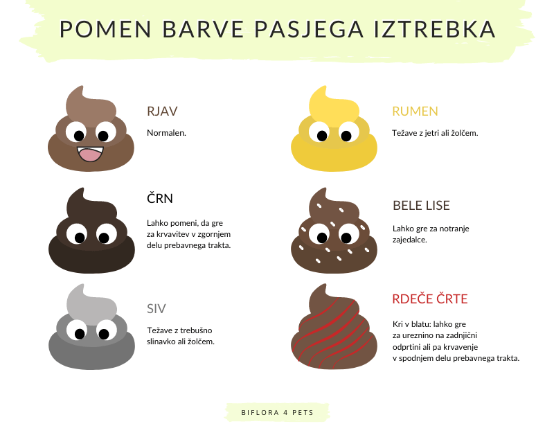 pomen barve pasjega iztrebka