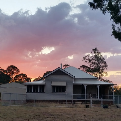 Eight acres - secondhand removal house that we renovated