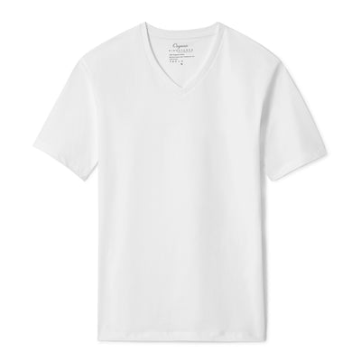 Grey Organic Sustainable T Shirt for Men, V Neck, Short Sleeve – Organic  Signatures