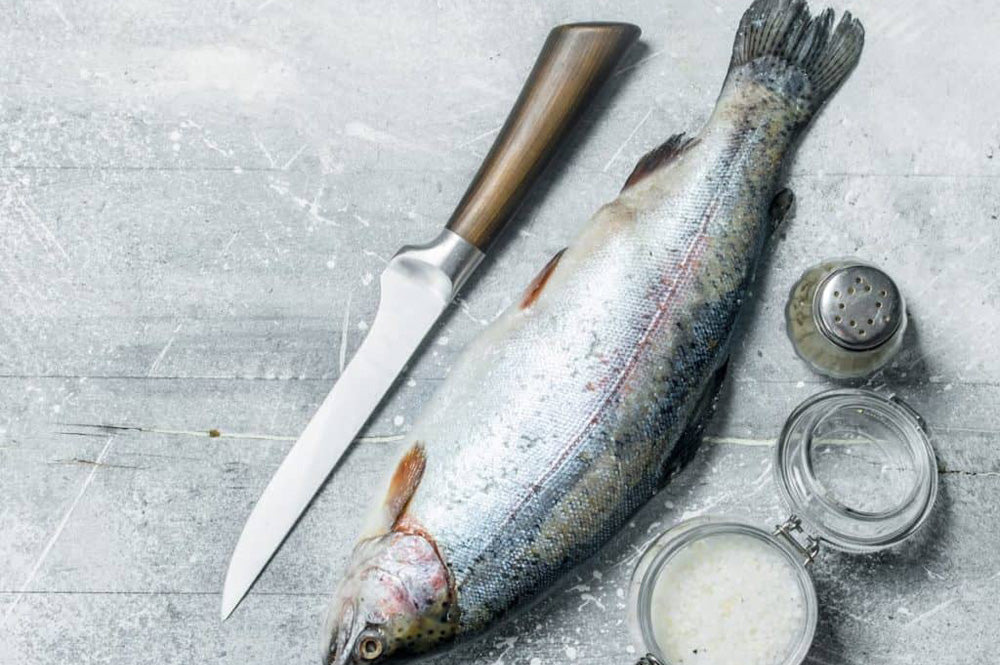 Fish Filleting Knives For Your Next Fishing Adventure