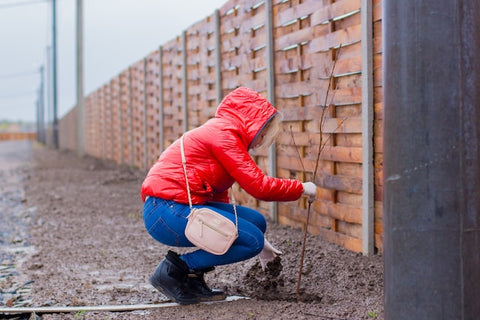 Person wearing a red jacket planting a tree in the rain