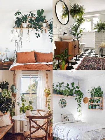 4 picture collage of house plants in the bathroom, bedroom and kitchen of living spaces – including Monstera Deliciosa plants, hanging plants, succulents, Chrysalidocarpus plants and other big, leafy greenery. Interior design blog about how to turn your home into a luscious urban jungle by bringing in house plants and greenery. Written by vintage-etc in Cape Town. We make custom made & bespoke tables, benches, free-standing kitchen islands, desks, media units & wardrobes in our Cape Town & Johannesburg workshops – using Oak, Oregon, Ash, Beech, Birch Ply & Meranti. We also sell imported furniture, provide design consulting services & make soft furnishings e.g. sofas & upholstered chairs in linen, velvet & stain resistant fabric.