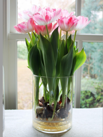 Pink flowers with green leaves in glass pot displaying roots. Interior design blog about our tips on bringing your kitchen to life without spending too much money. Written by vintage-etc in Cape Town. We make custom made & bespoke tables, benches, free-standing kitchen islands, desks, media units & wardrobes in our Cape Town & Johannesburg workshops – using Oak, Oregon, Ash, Beech, Birch Ply & Meranti. We also sell imported furniture, provide design consulting services & make soft furnishings e.g. sofas & upholstered chairs in linen, velvet & stain resistant fabric.