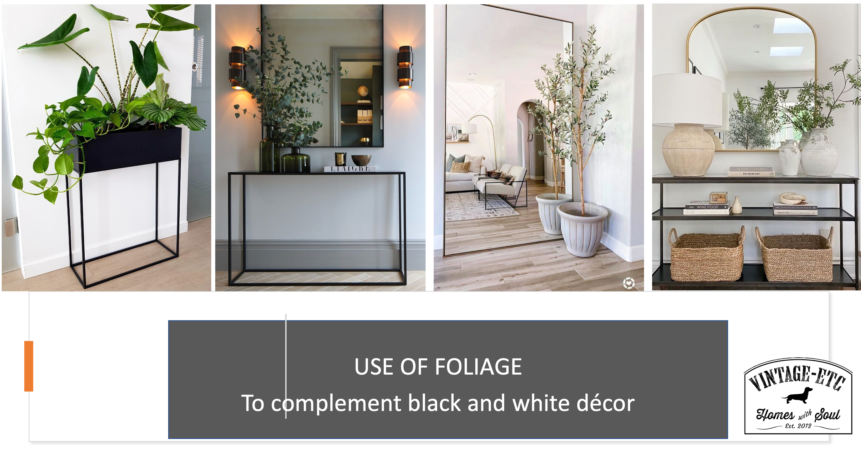 use botanicals to complement black and white scandi design