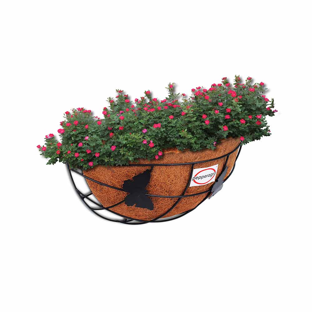 Pepper Agro Coir Planter Coco Fiber Flower Pots Cone Shape Orchid Hang