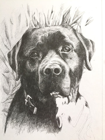'Mac', a portrait in graphite pencil by Katie Manning