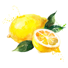The benefits of the humble lemon