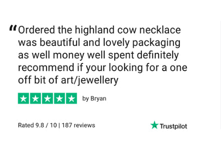 Scottish Highland Cow jewellery gift review