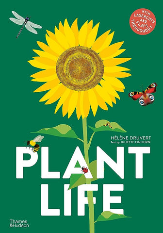 Plant Life by Hélène Druvert