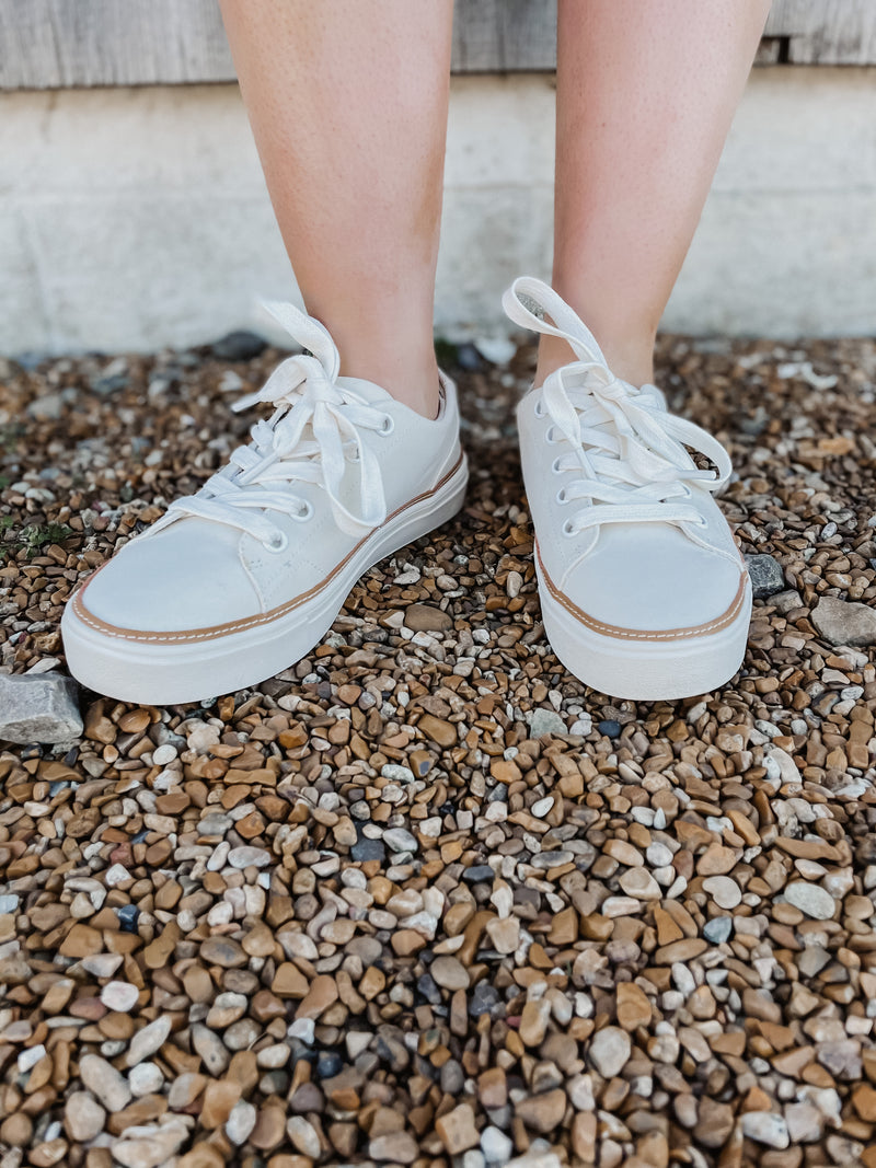 sneaker toms