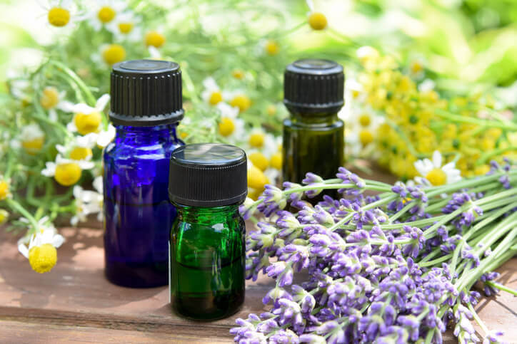 Plant Therapy Essential Oil Blends - Nature's Best Aromatherapy