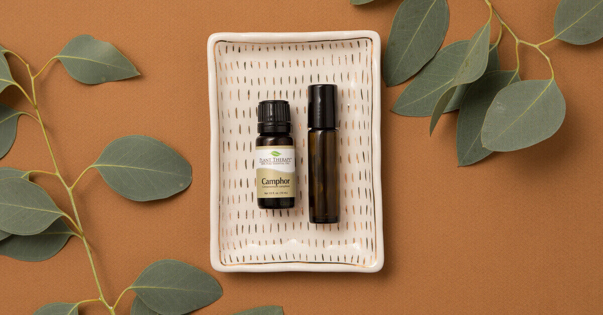 Top 4 Ways to Use Camphor: Our Essential Oil Spotlight of the Week