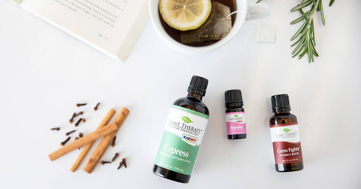 Cold season and essential oils: Plant Therapy Cypress, Manuka and Germ Fighter