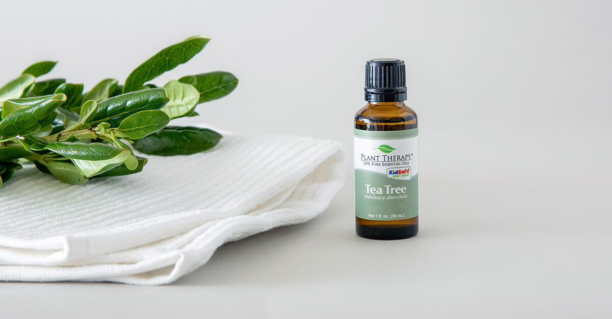 FriYAY: Spring Cleaning Edition - Tea Tree Essential OIl